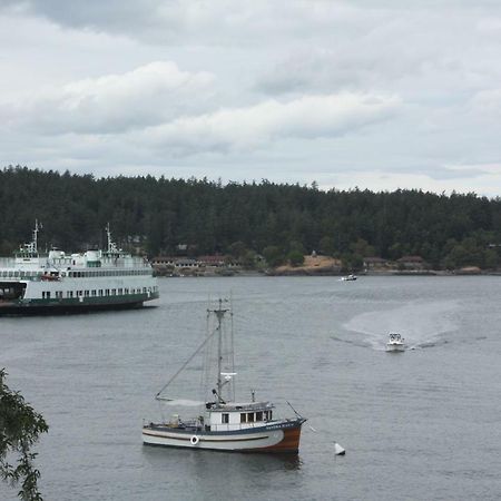 Sweet Escape & Summer Dream Apartment Friday Harbor Exterior photo